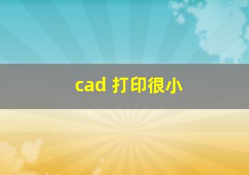 cad 打印很小